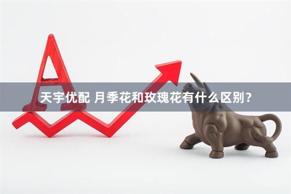 天宇优配 月季花和玫瑰花有什么区别？