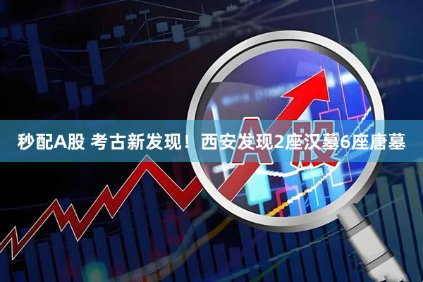 秒配A股 考古新发现！西安发现2座汉墓6座唐墓